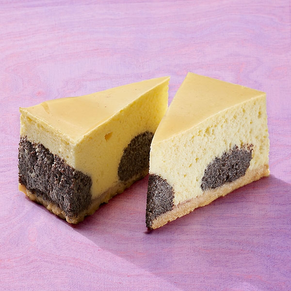 Dinkel Quarkkuchen mit Mohn